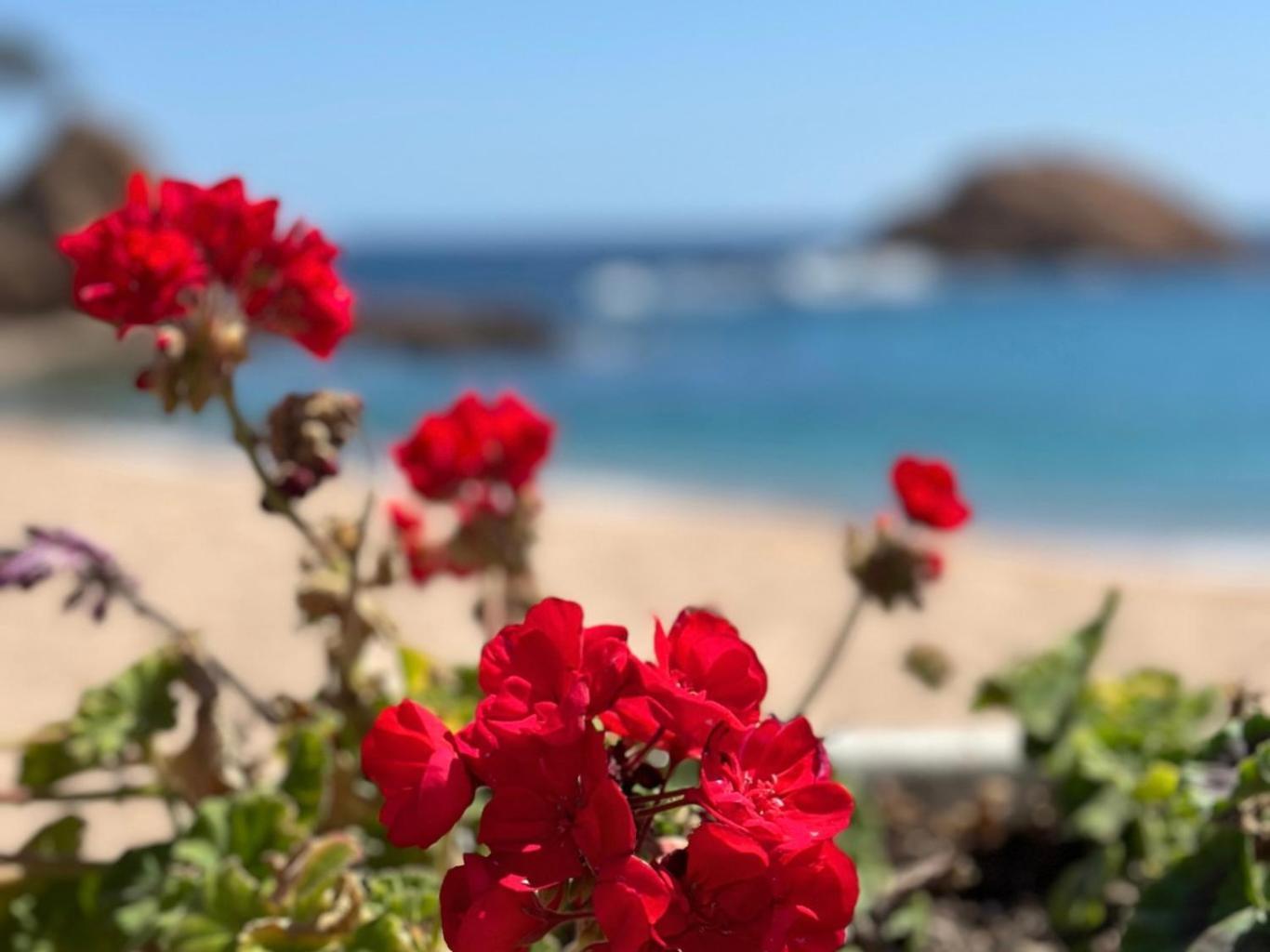 דירות בלאנס Atico Con Vistas Al Mar A Un Paso Del Centro מראה חיצוני תמונה