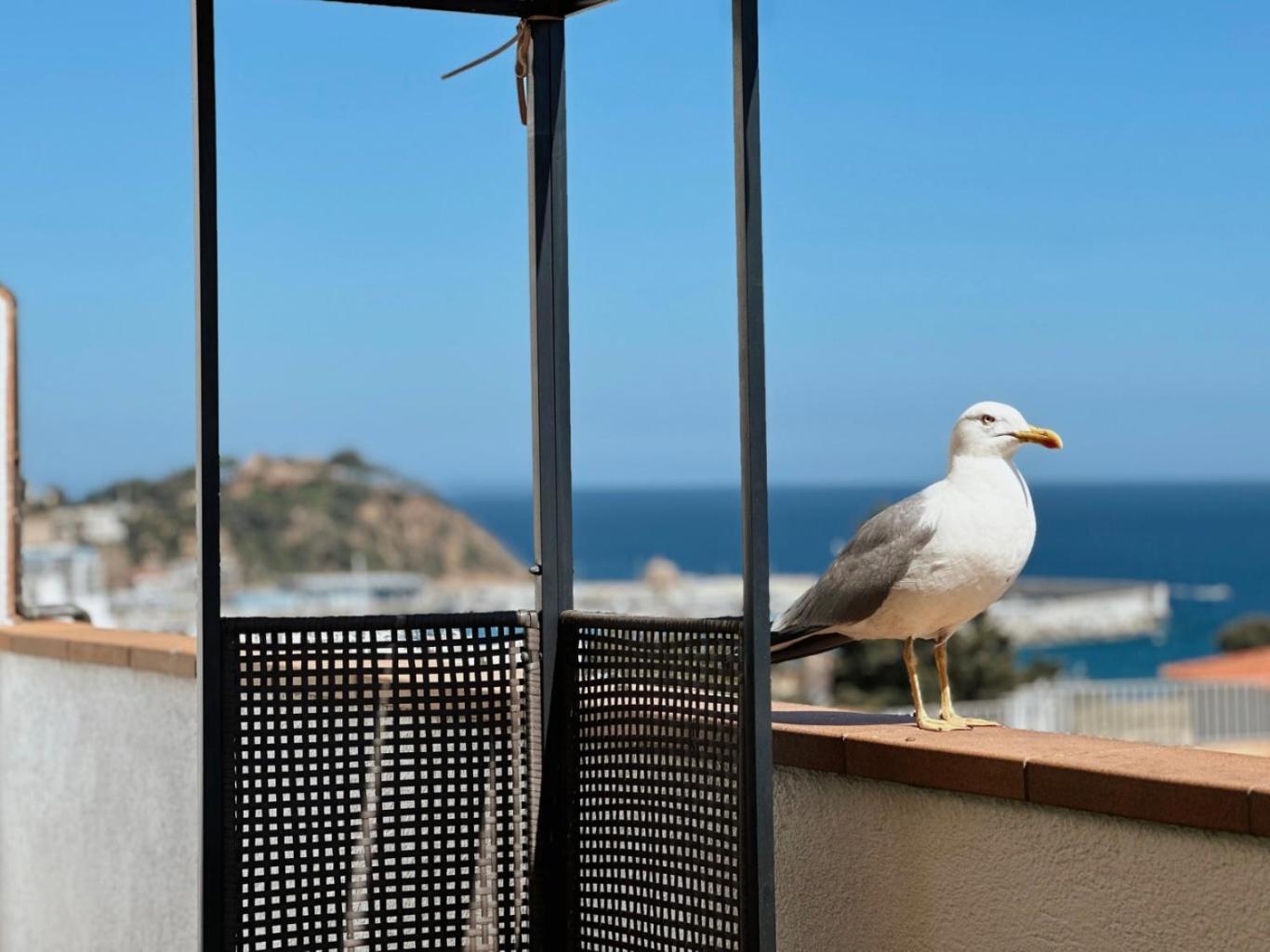 דירות בלאנס Atico Con Vistas Al Mar A Un Paso Del Centro מראה חיצוני תמונה